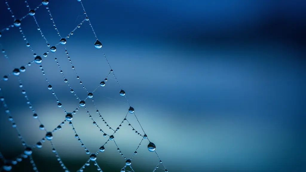 Blue hour photography showing natural atmospheric haze creating depth layers