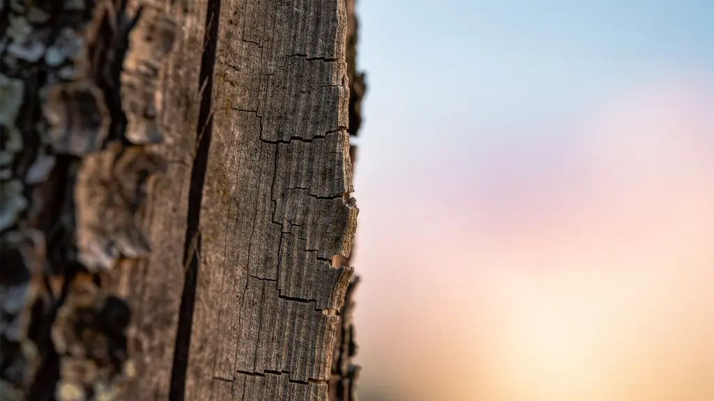 Extreme macro shot showing edge detail and sharpening effects on textured surface