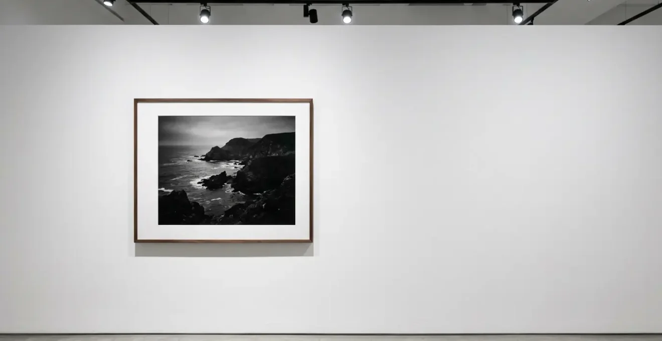 Professional archival pigment print displayed in museum-quality setting with controlled lighting showcasing deep blacks and rich tonal range