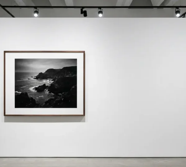 Professional archival pigment print displayed in museum-quality setting with controlled lighting showcasing deep blacks and rich tonal range